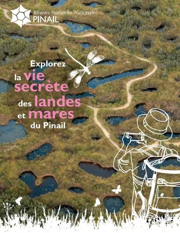 camp echecs et nature du 4 au 10 juillet 2026 organisee par poitiers migne echecs