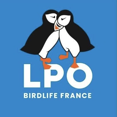 Poitiers-Migné Échecs – Club échecs Poitiers - Vienne LPO partenaire de Poitiers-Migné Èchecs